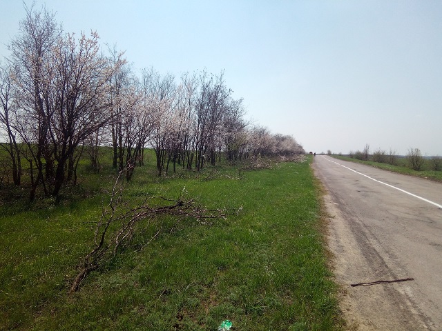 IMG 20190423 113928