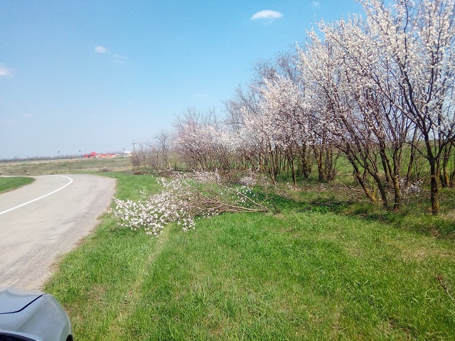 IMG 20190423 113943
