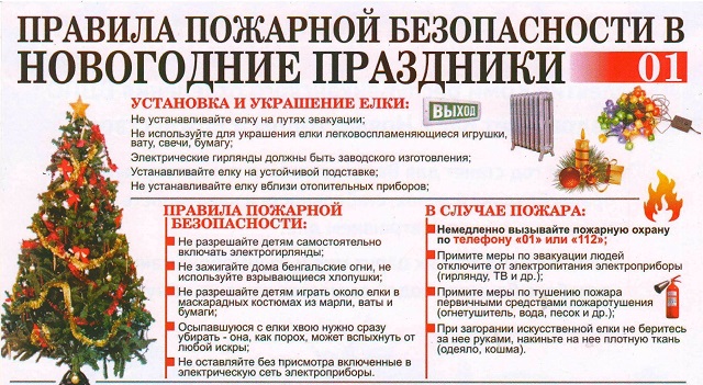 foto 2023 12 12 14 09