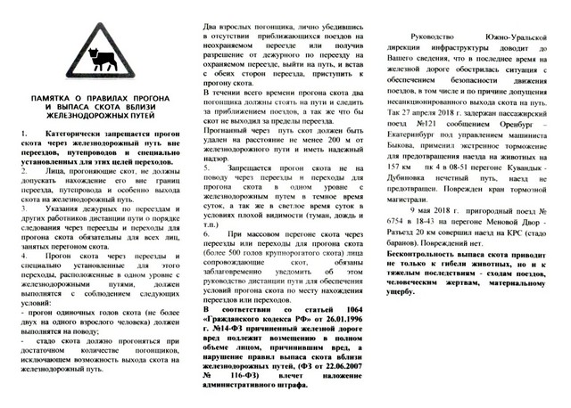 foto 2025 04 14 11 19 001